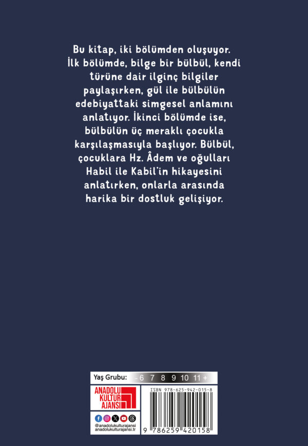 Bilge Bülbül: Bir Karga Hikayesi - Görsel 2